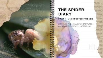 The-Spider-Diary-Banner-V2.png