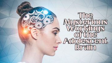 The-Mysterious-Workings-of-the-Adolescent-Brain.jpg